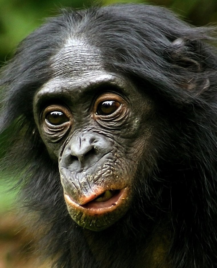 Смешная рожа младенца