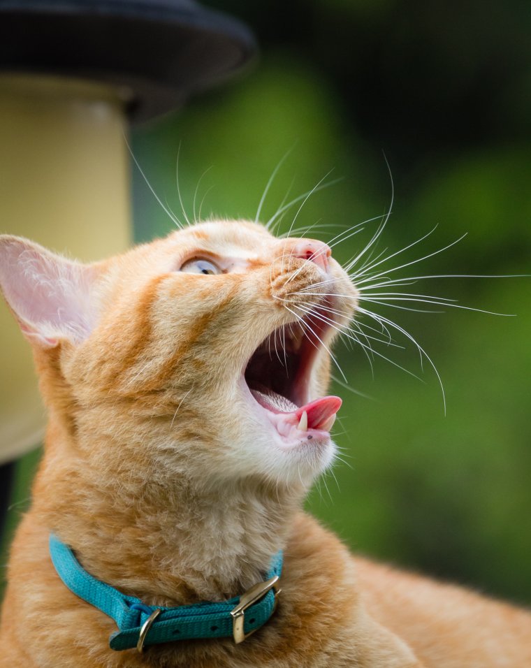 Смешные люди