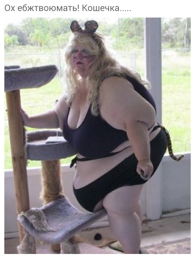 Толстые на пляже смешные