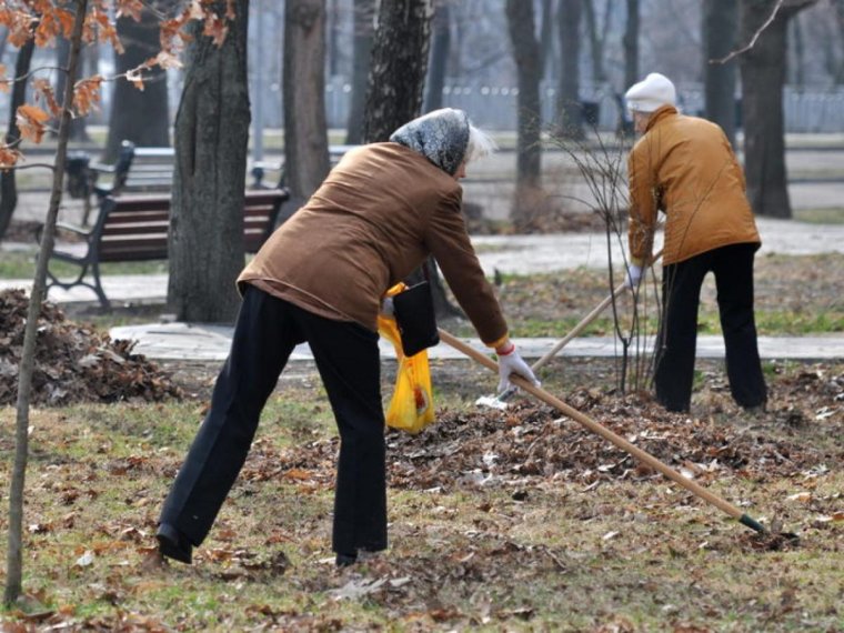 Люди на субботнике