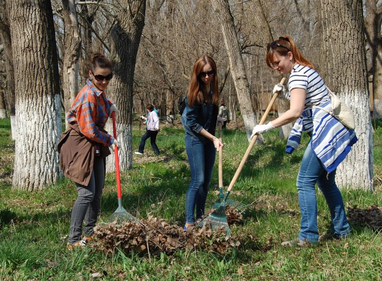 Субастеник это