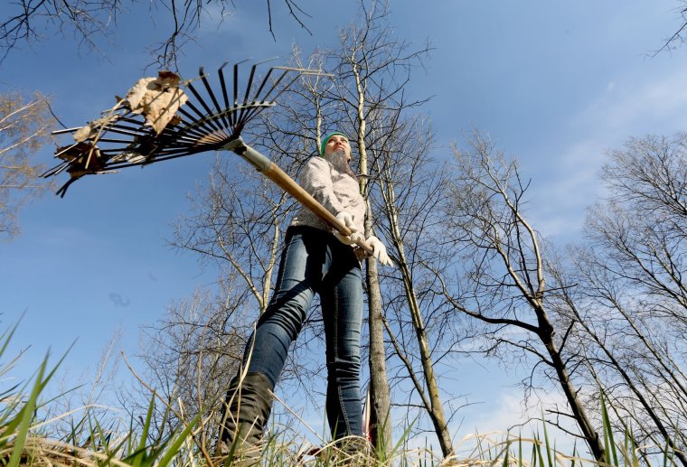 Ведьма на субботнике