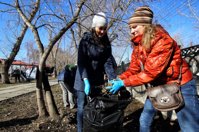 Телки на субботнике