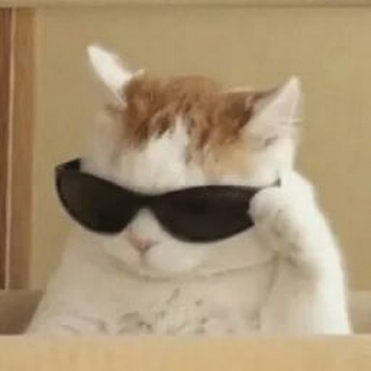 Лучше выпить пива литр