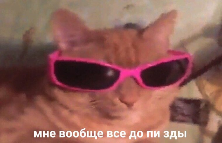 Пес в розовых очках