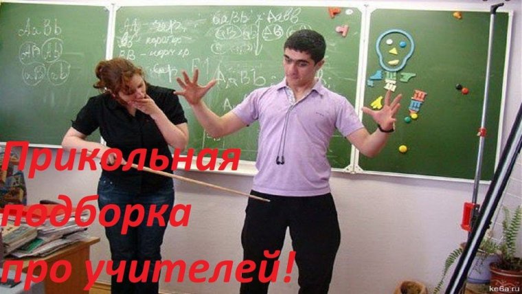 Кот учитель