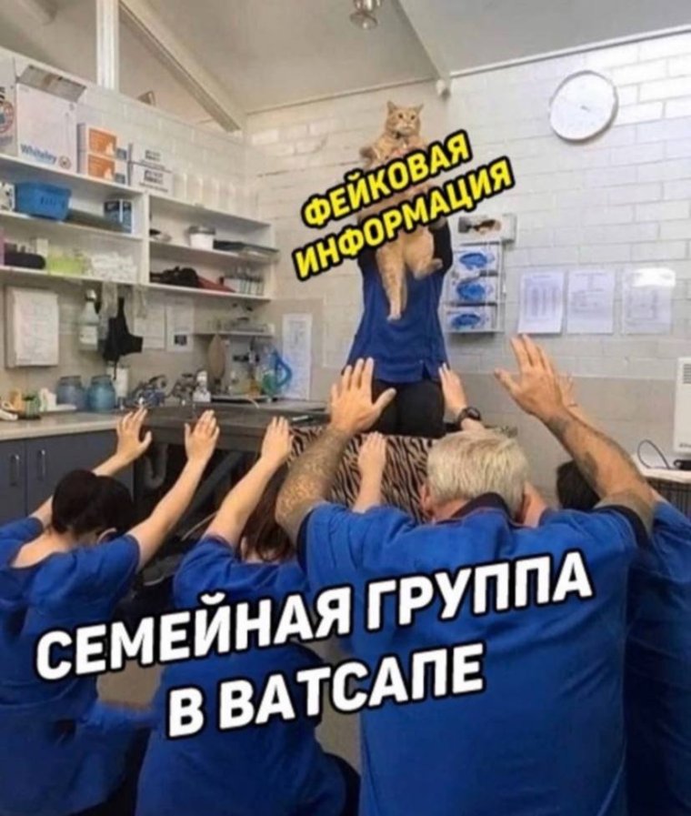 Стикеры для WHATSAPP мемы