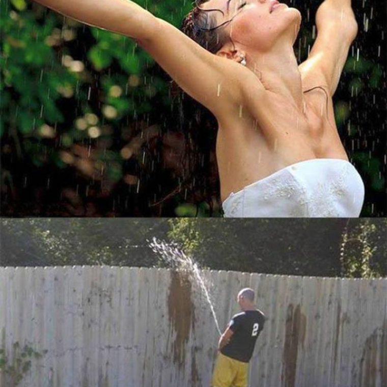 Обалдевший кот