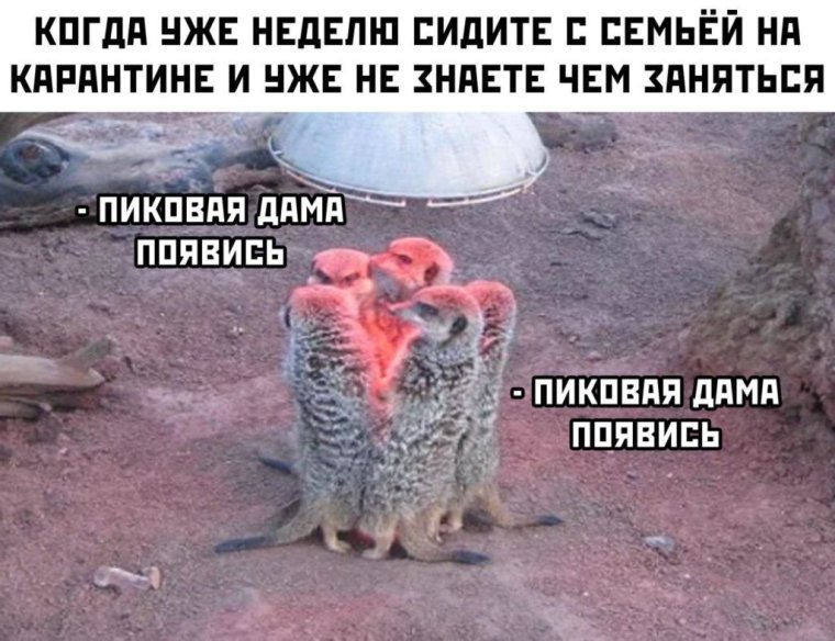 С днем чеснока Мем