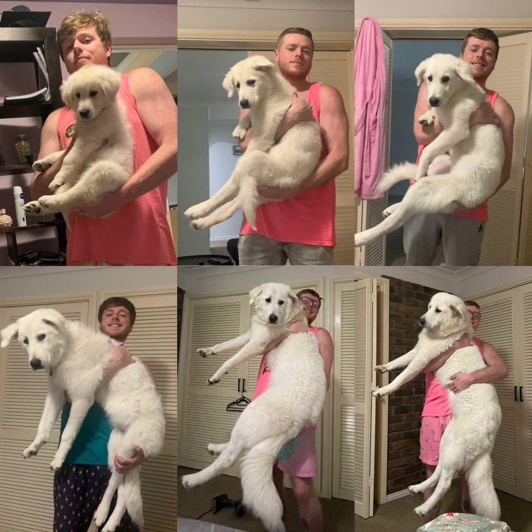 Смешные маски от Ковида