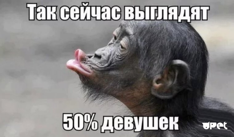 Картинки для ватсапа прикольные