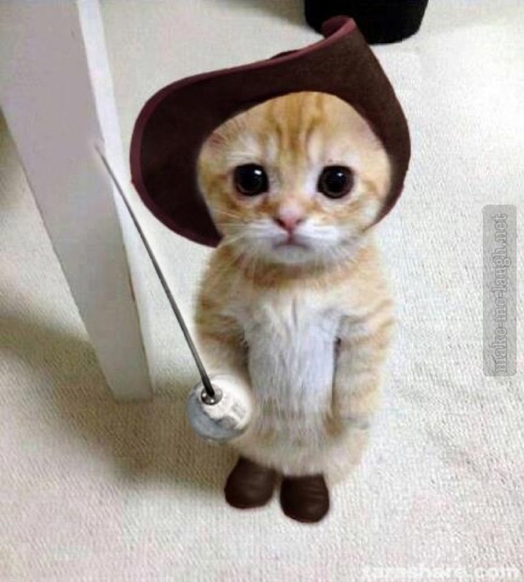 Я смотрю Креста на тебе нет