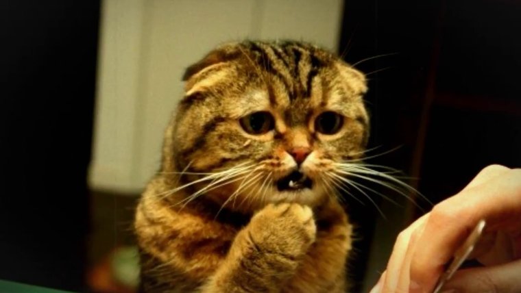 Мемы про карантин коронавирус