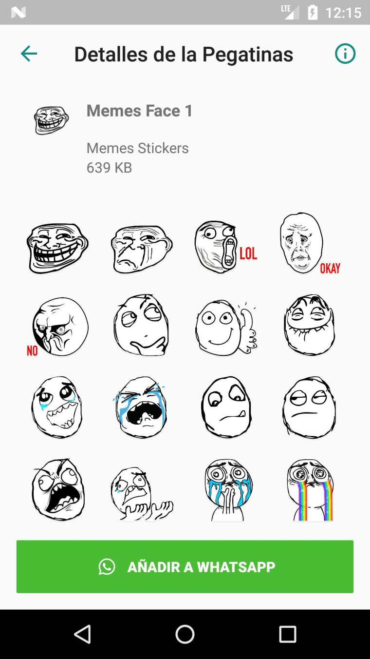 Кот с арбузом на голове