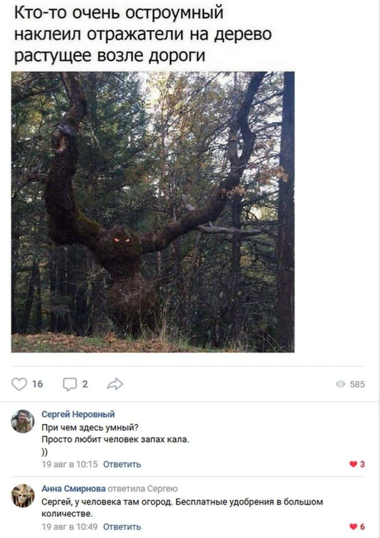 Приколы из соцсетей