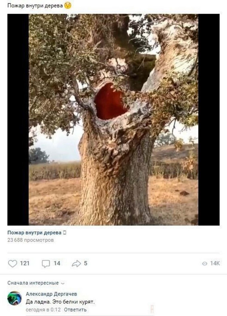 Смешные комментарии из социальных сетей 2020