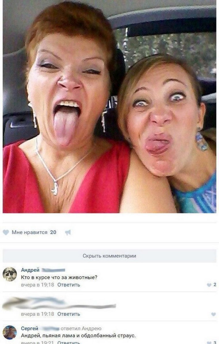 Приколы и ужасы социальных сетей