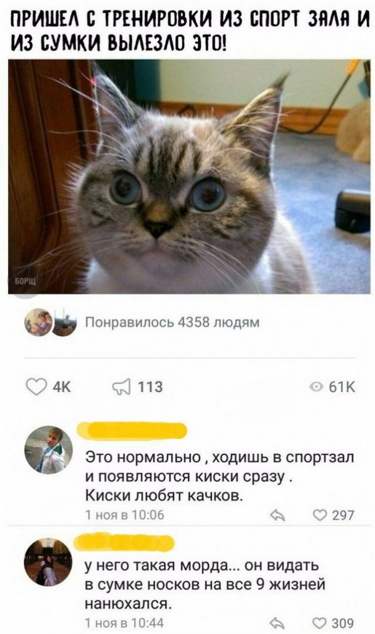 Приколы из соцсетей
