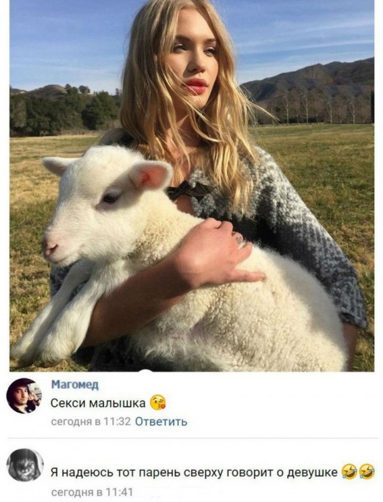 Юмор из социальных сетей