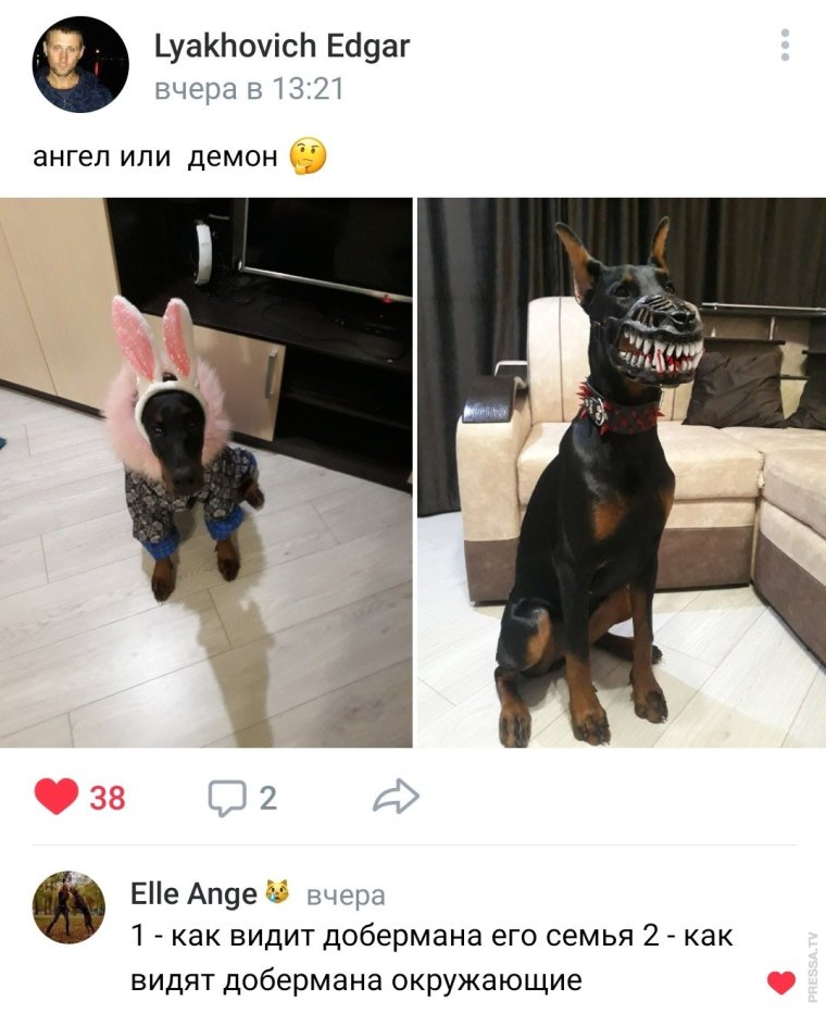 Смешные комментарии из соц сети