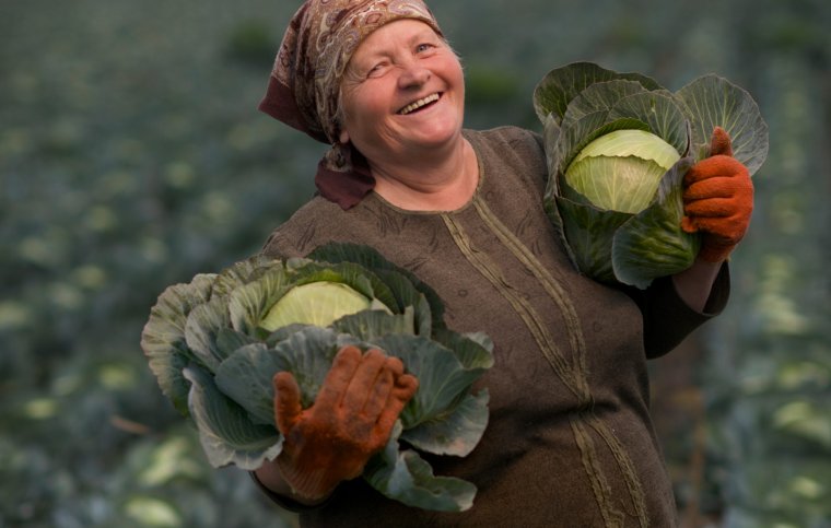 Бабка с капустой
