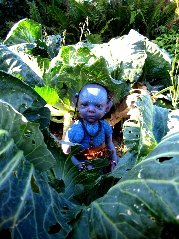 Ребенок в капусте