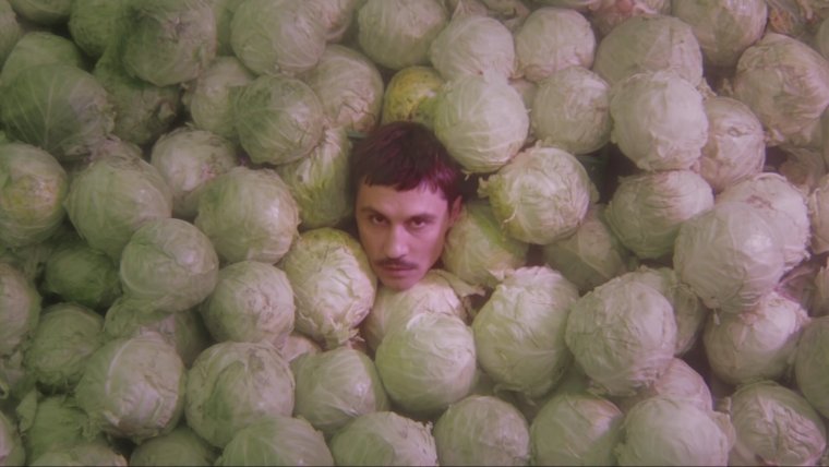 Чел в капусте