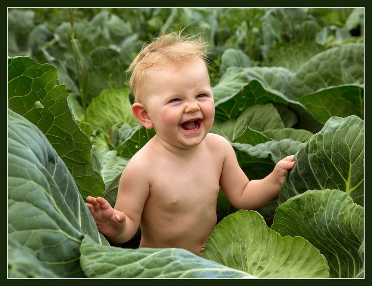 Сфоткать ребёнка в капусте и с овощами