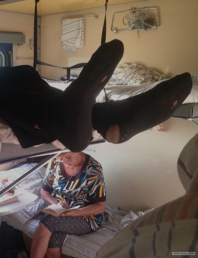 Плацкарт носки