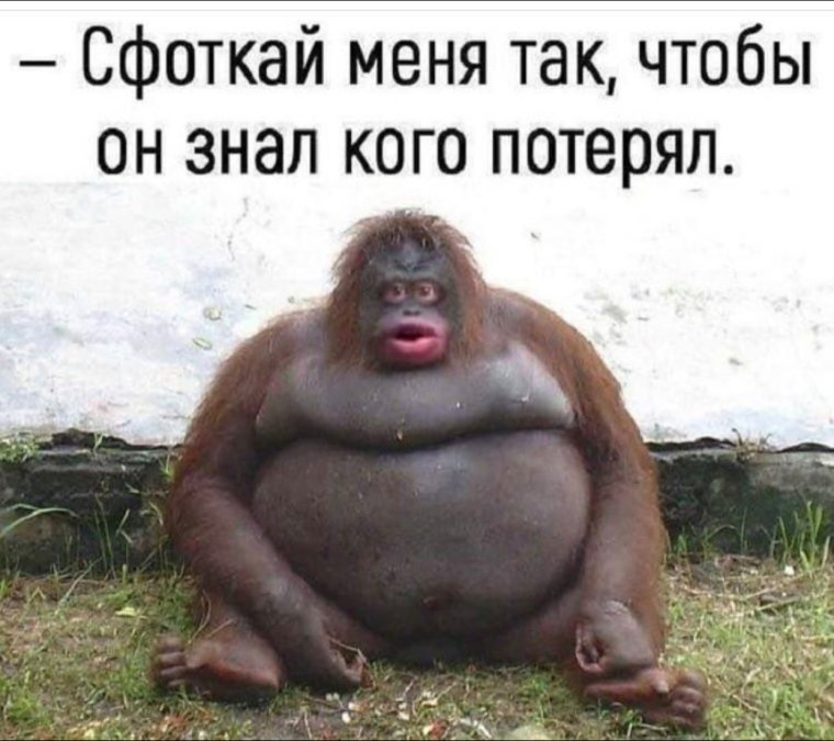 Смешные картинки