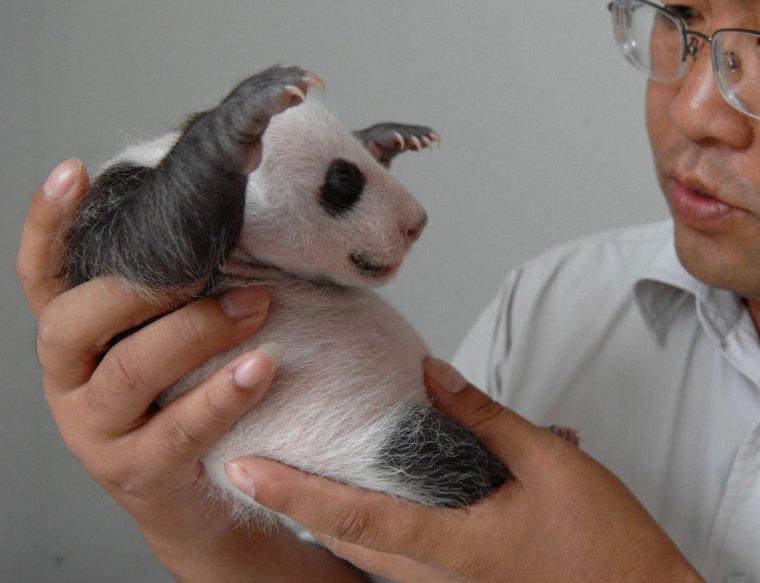 Приколы с матами картинки