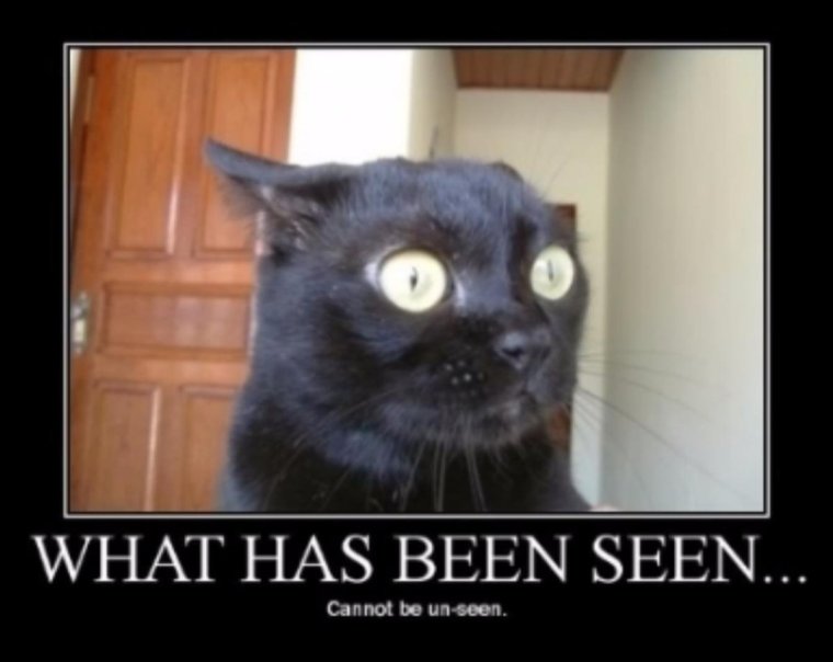 Зарплаты нет