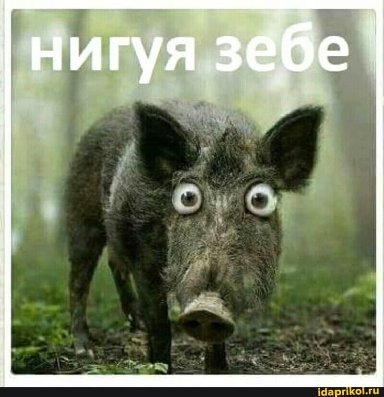 Понедельник пришел