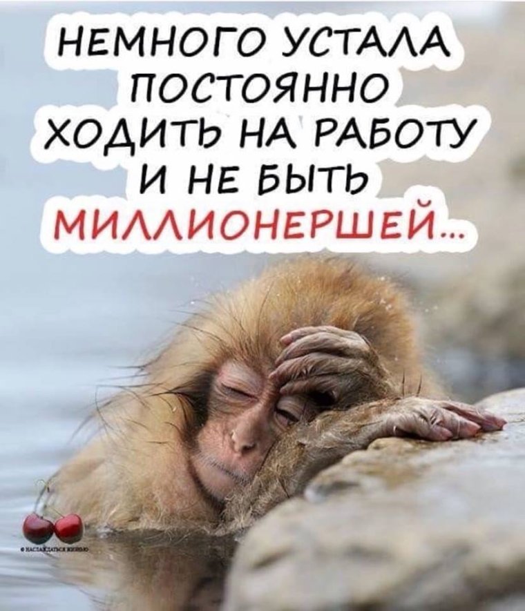 Понедельник юмор