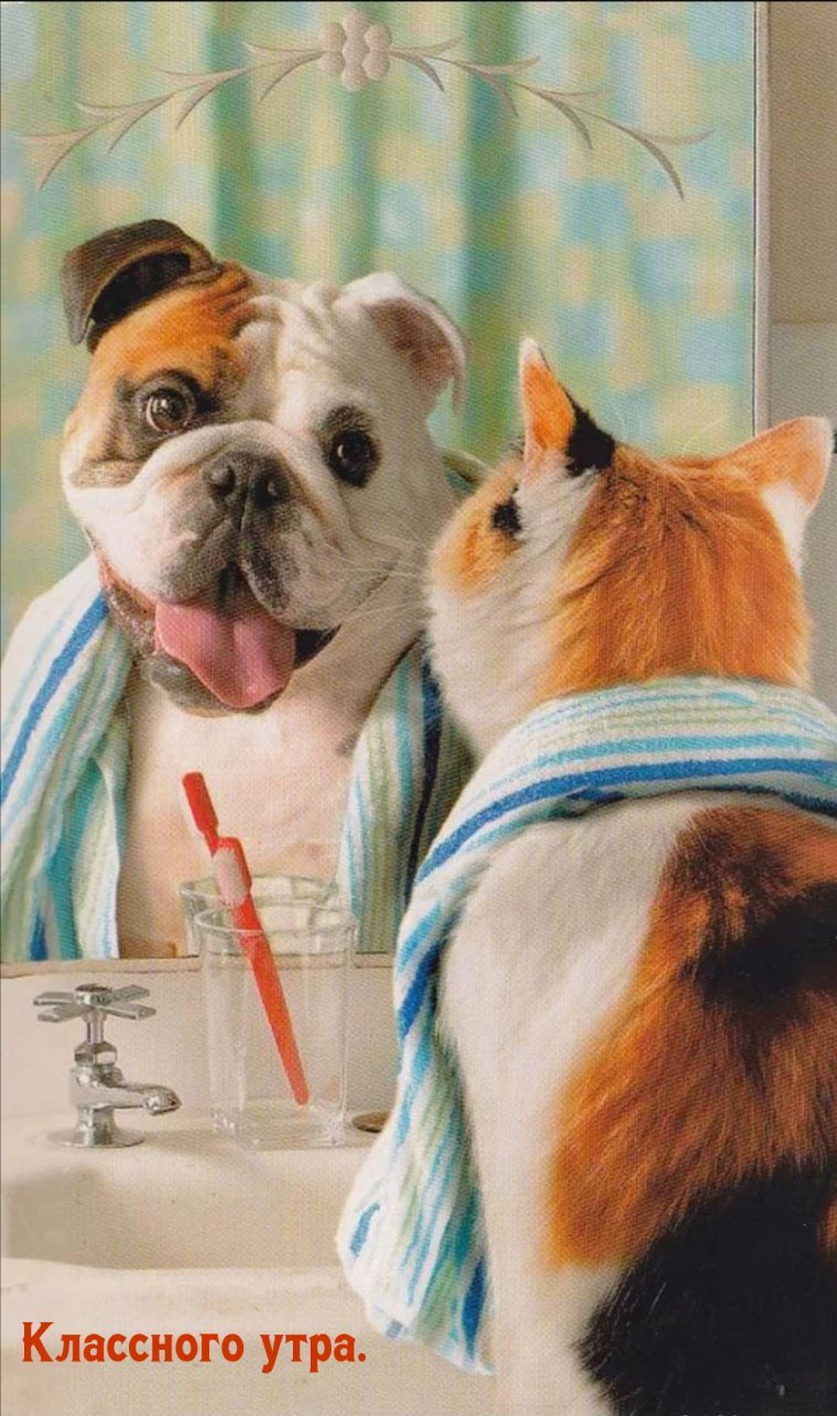 Веселое утро понедельника