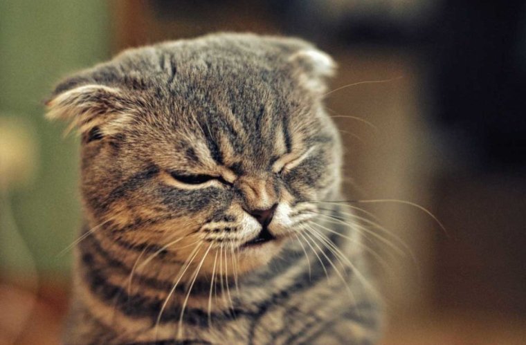 Утро понедельника