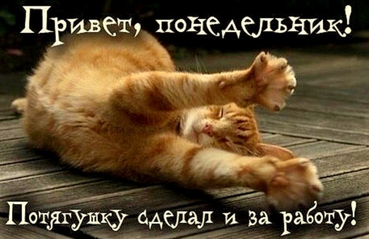 С добрым утром понедельника