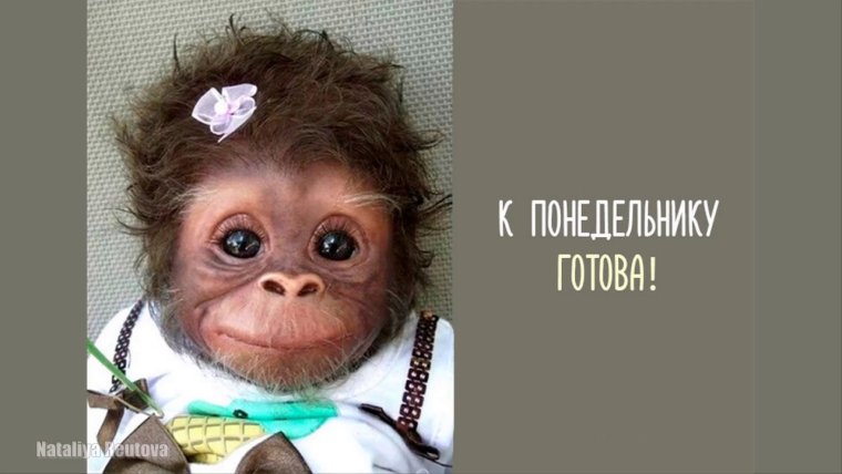 Открытки с понедельником прикольные