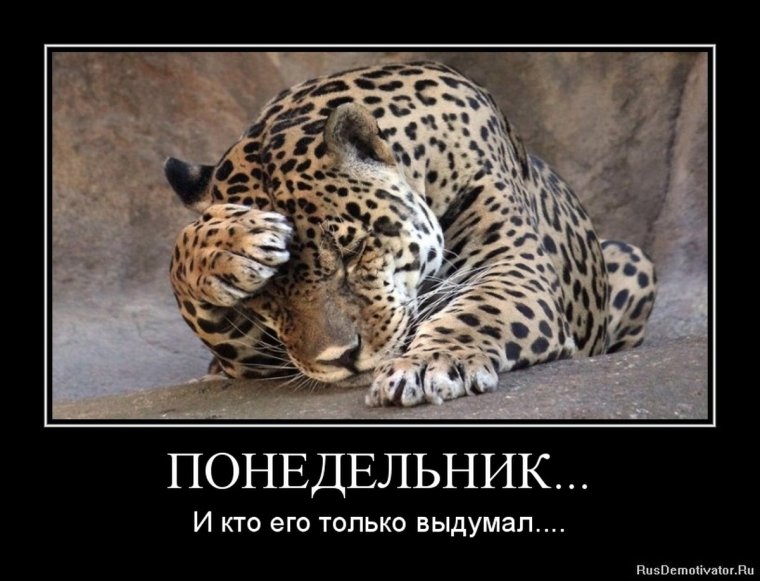 Понедельник приколы
