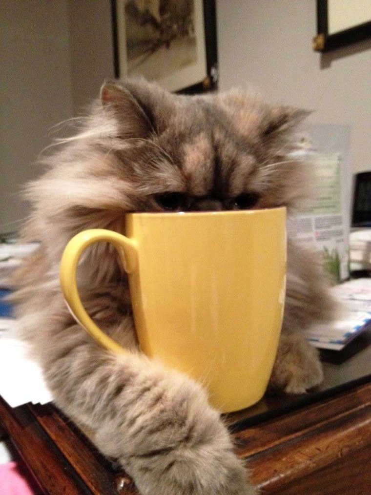 Настроение понедельник