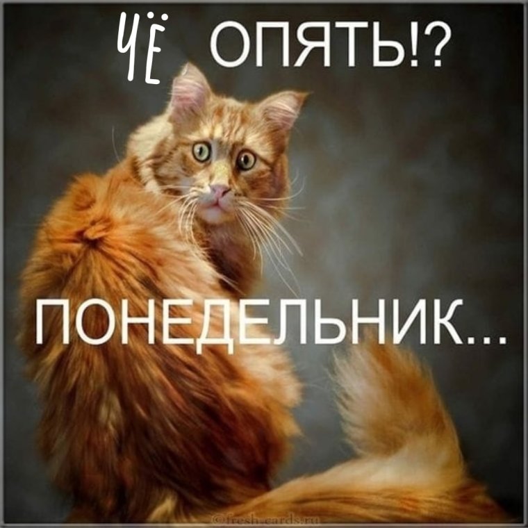 И снова понедельник