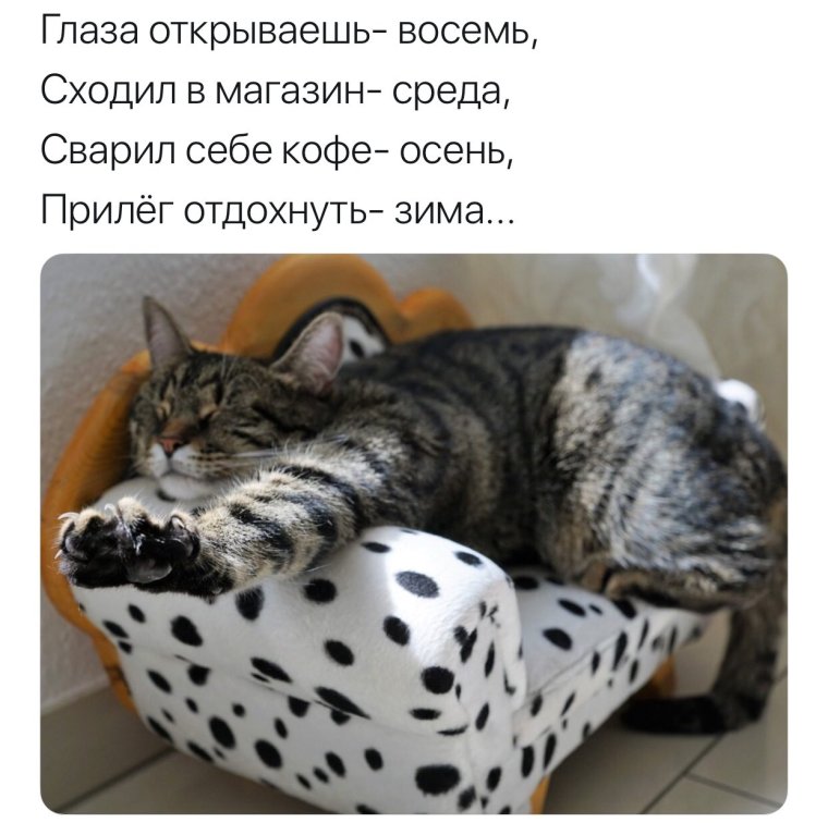 Воскресенье цитаты