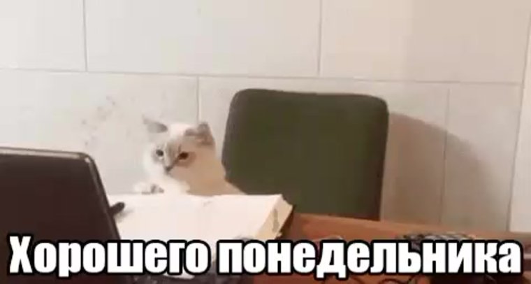 Гифка понедельник