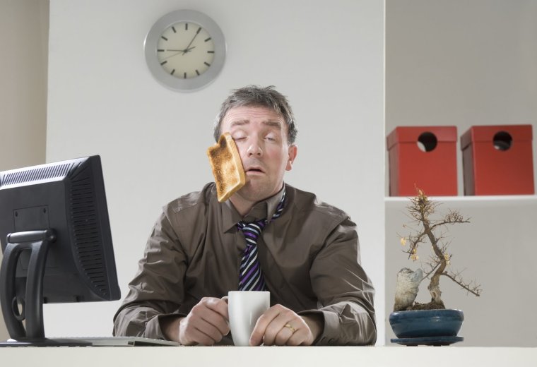 Котик понедельник