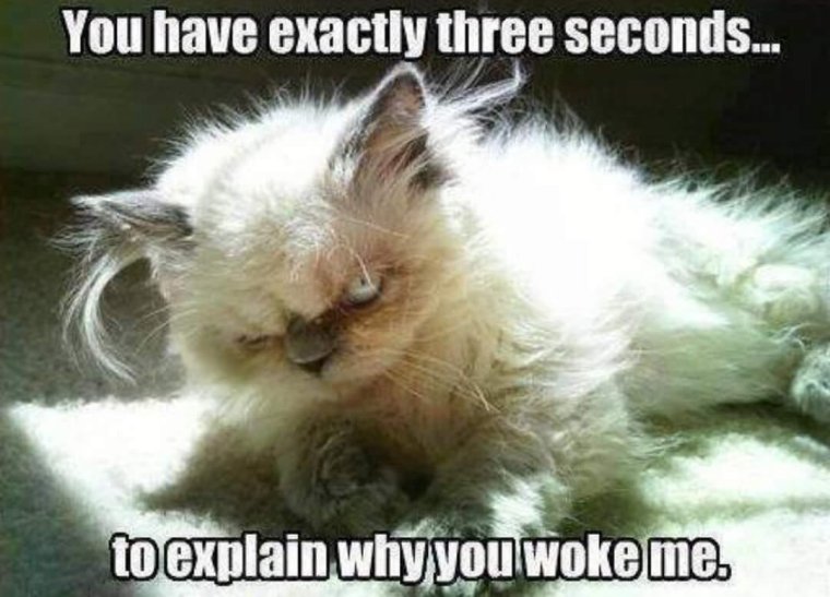 Ярость прошла обиды забыты