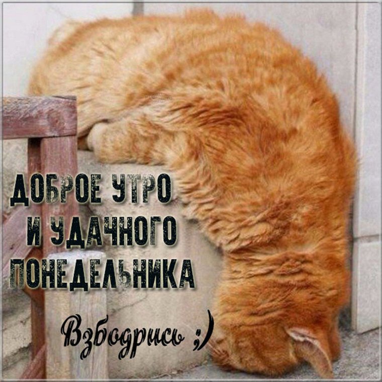 Весело веселье тяжело похмелье