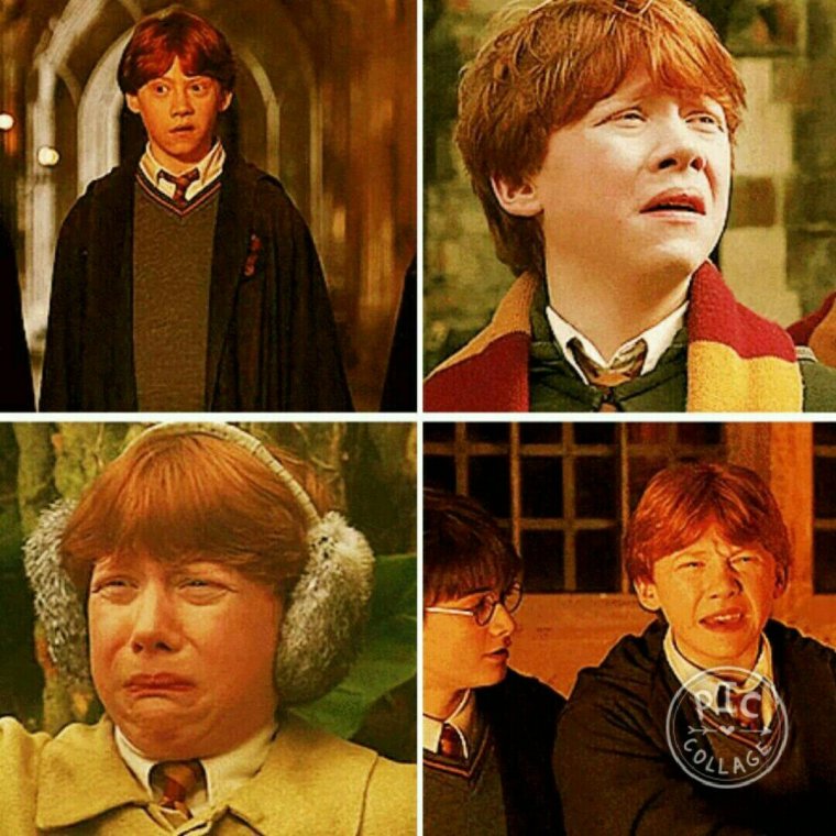 Гарри Поттер и Рон Уизли в Хогвартсе