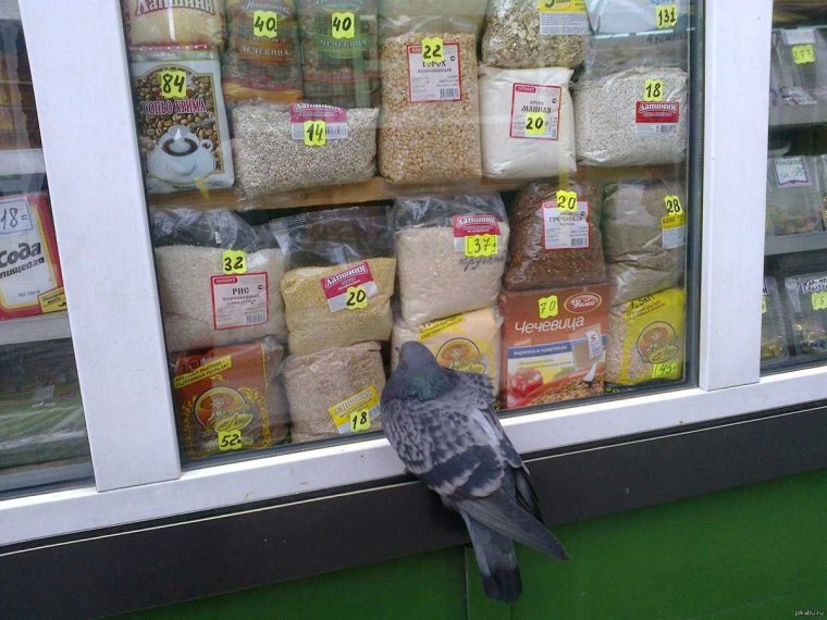 Витрина Мем