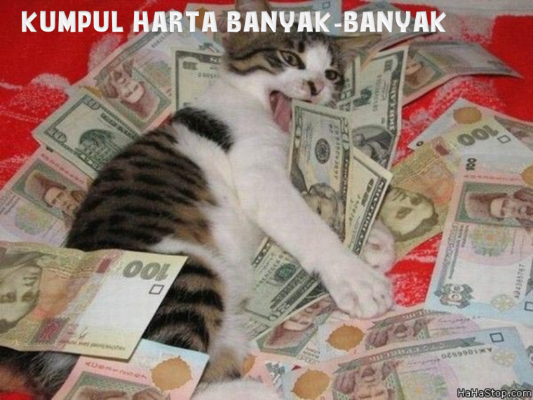 Кот приносящий деньги