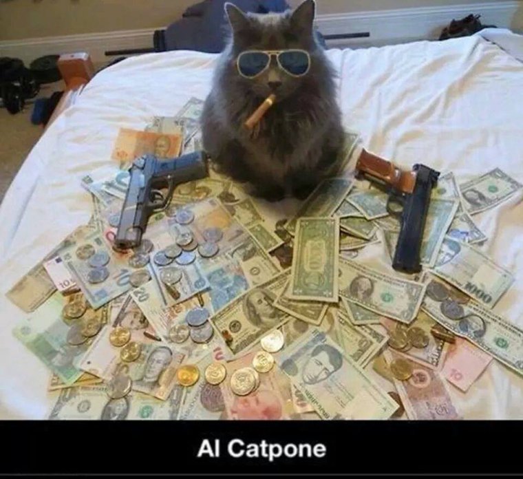 Кот с сигарой и деньгами